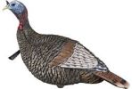 Strut Decoy W/Stake