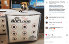 Doghouse Xp Archery Target PLUS