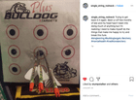 Doghouse Xp Archery Target