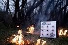 Doghouse Xp Archery Target PLUS