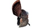 Strutter Decoy W/ Folding Fan