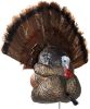 Strutter Decoy W/ Folding Fan